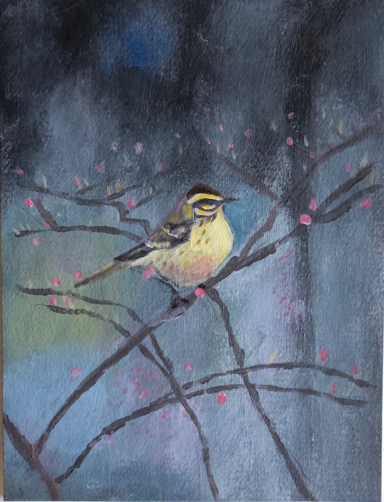 Bird painting, Palm Warbler, acrylic, 6%22 x 9%22.jpg
