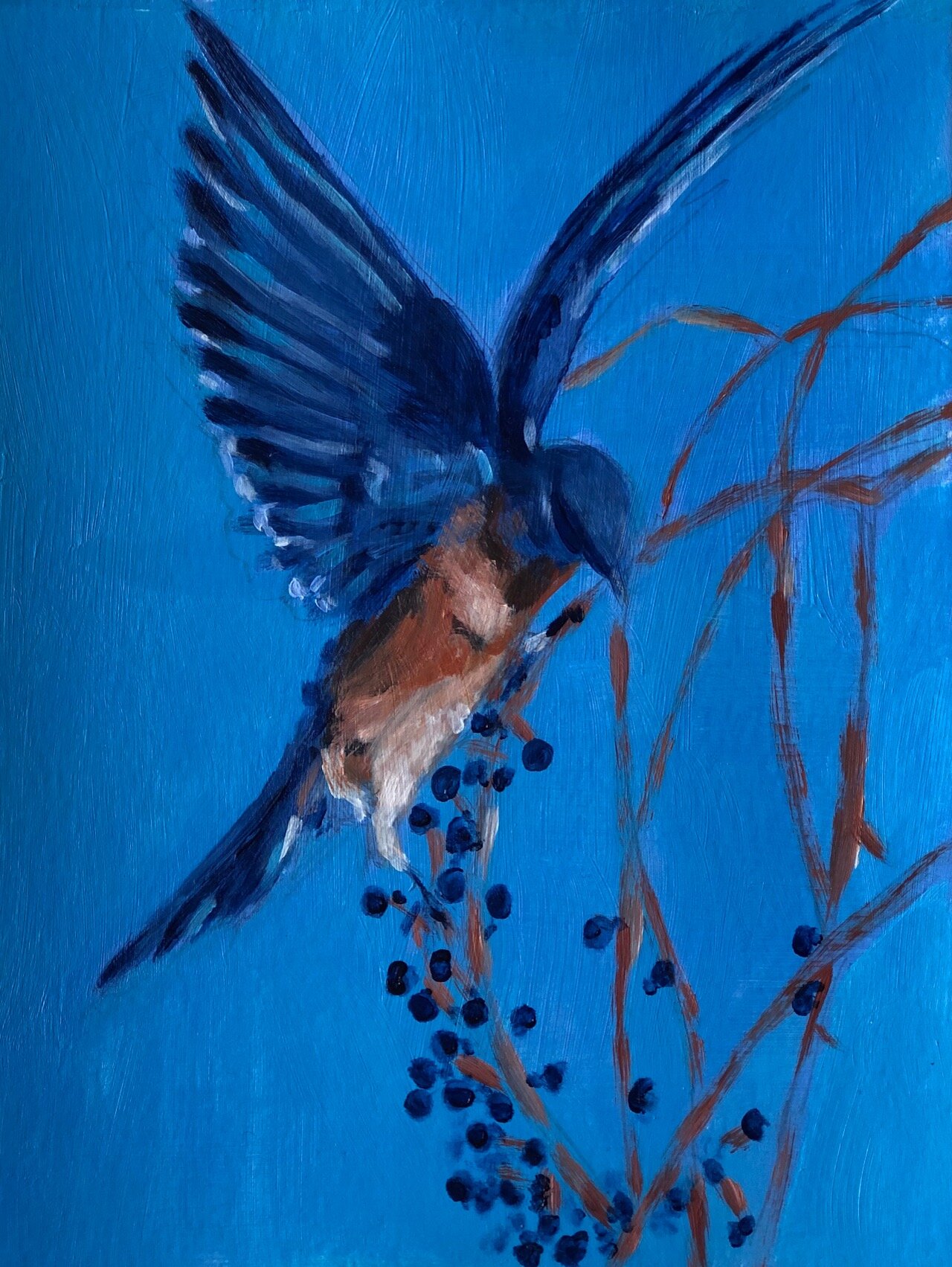 Bird painting, Eastern Bluebird wings, acrylic, 6%22 x 9%22.jpg