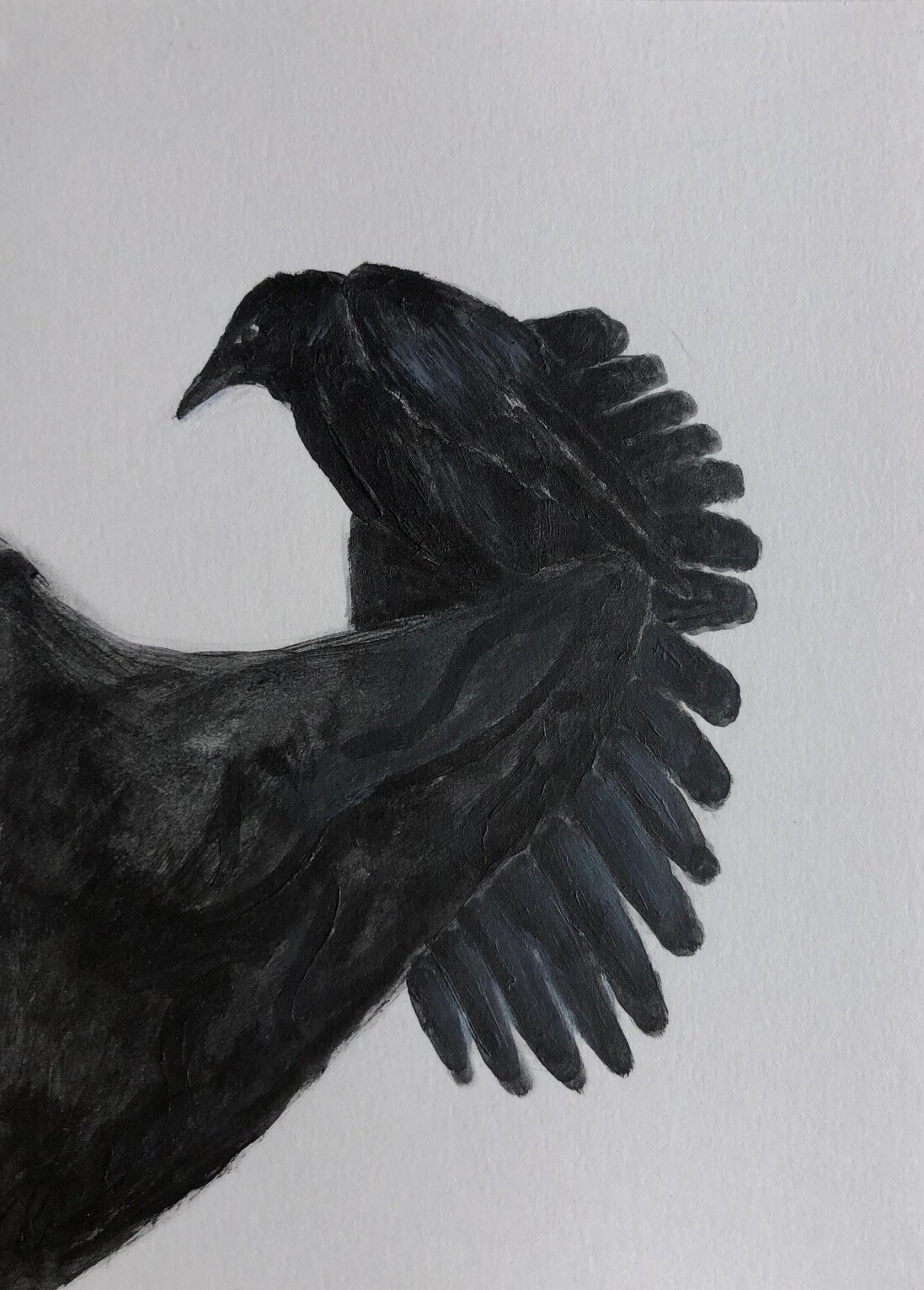 Bird painting American crow, acrylic, 6%22 x 9%22.jpg