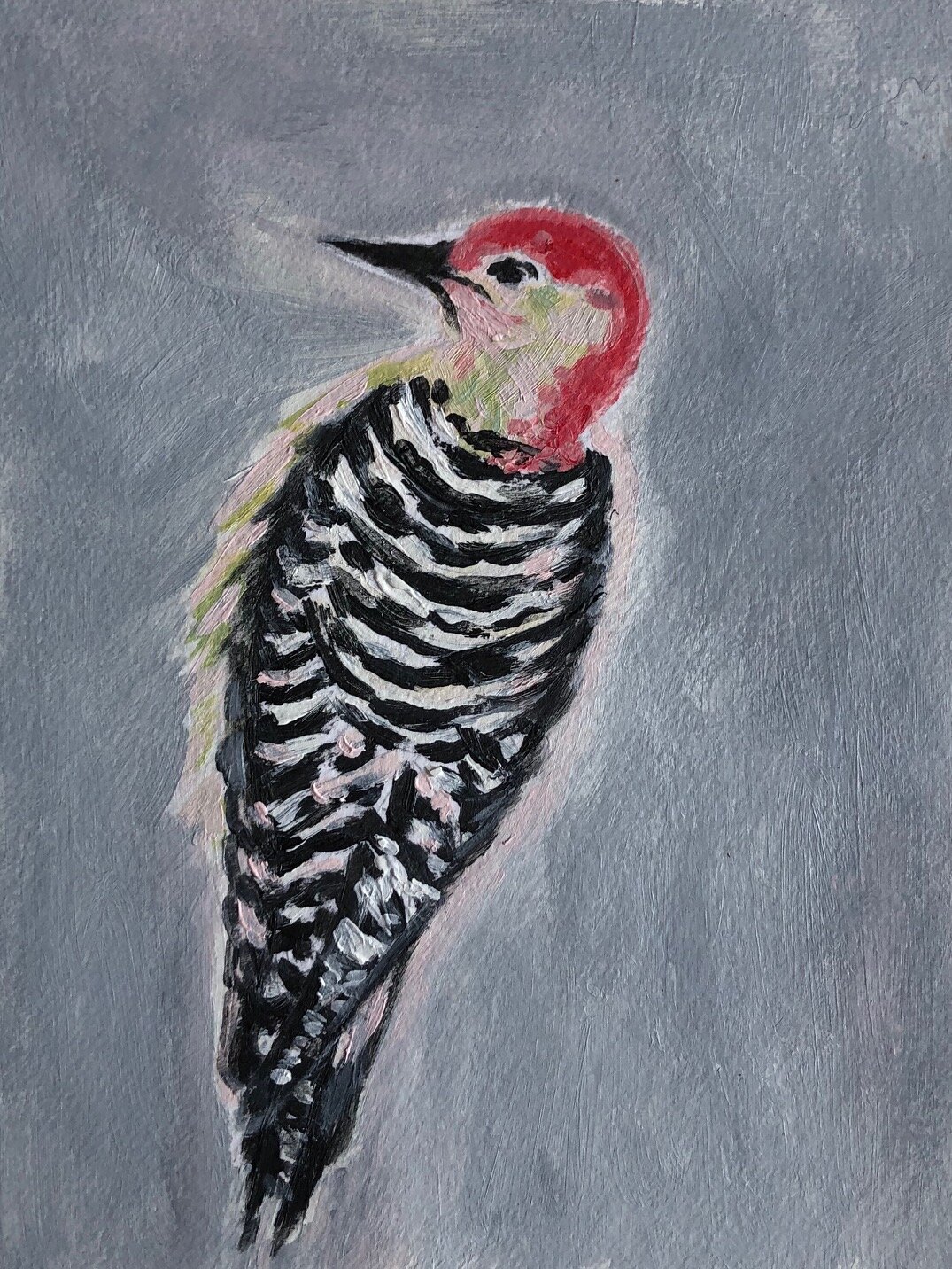 Red bellied woodpecker, acrylic 6%22 x 9%22.jpg