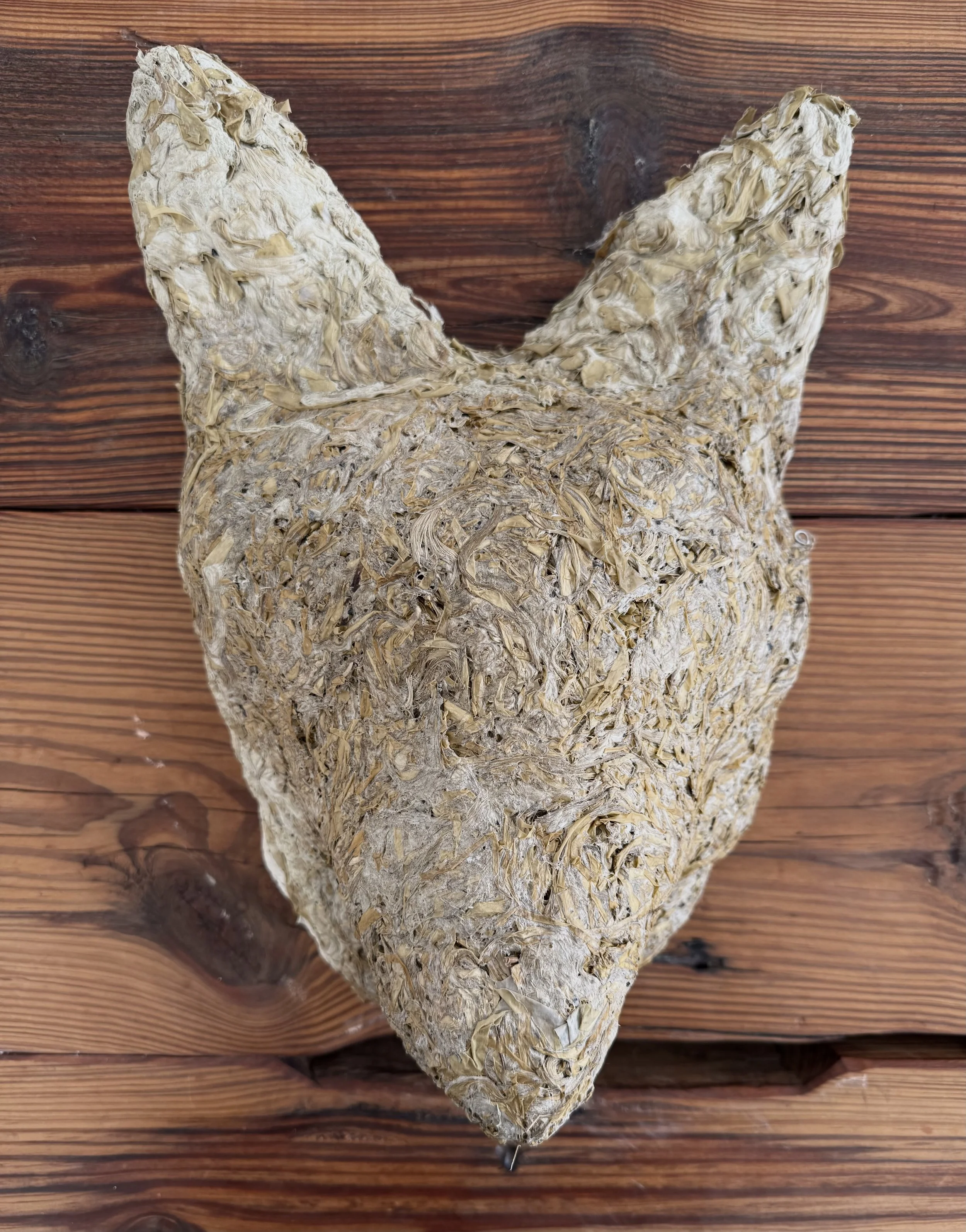 Foxlove, plant material, 20%22 x 15%22, $1,800..jpeg