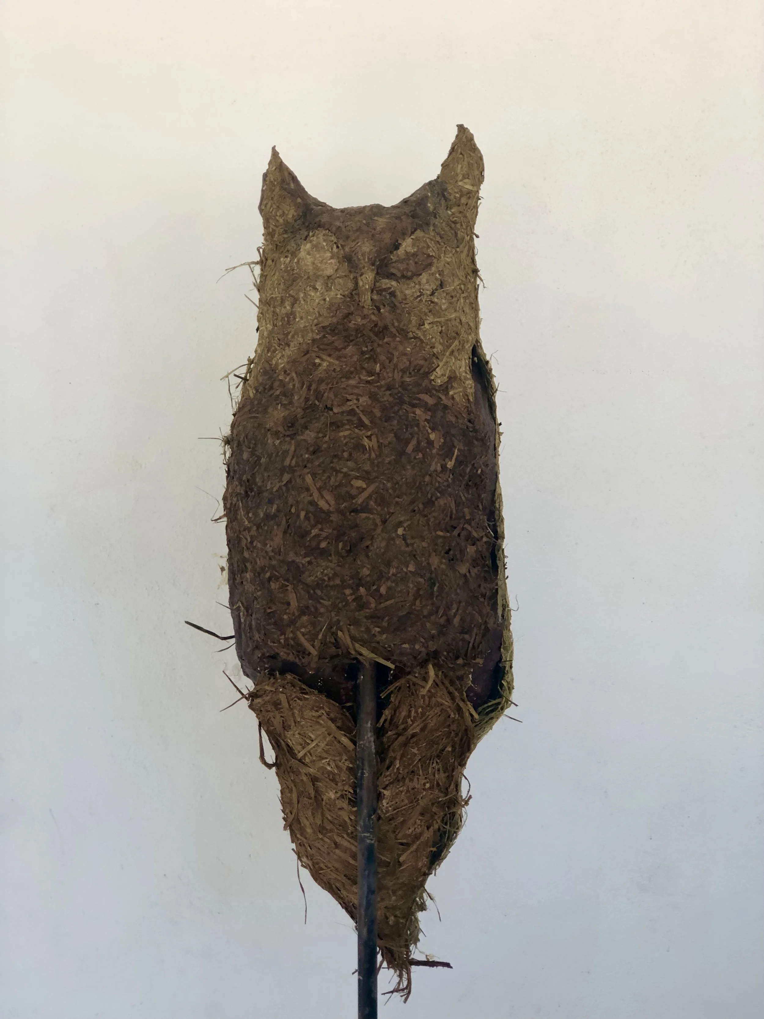 Great Horned owl front.jpeg