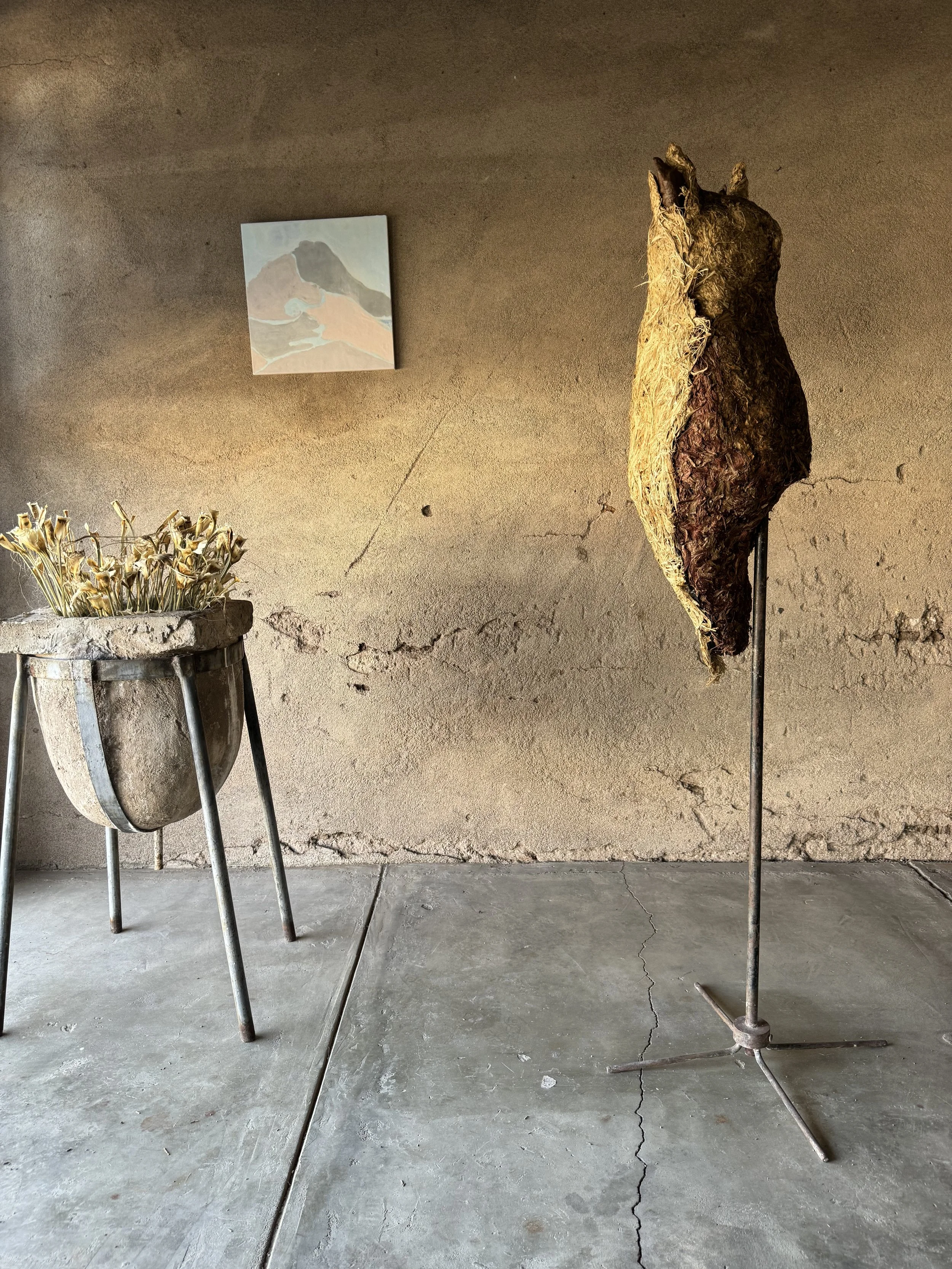 Marfa Agave Festival Show 2024