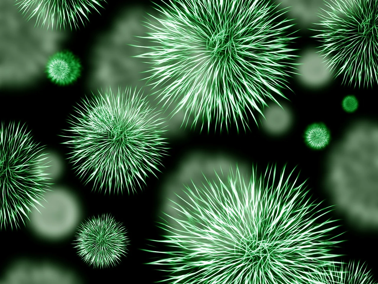 Biodynamic Craniosacral Therapy & Sinus Infection