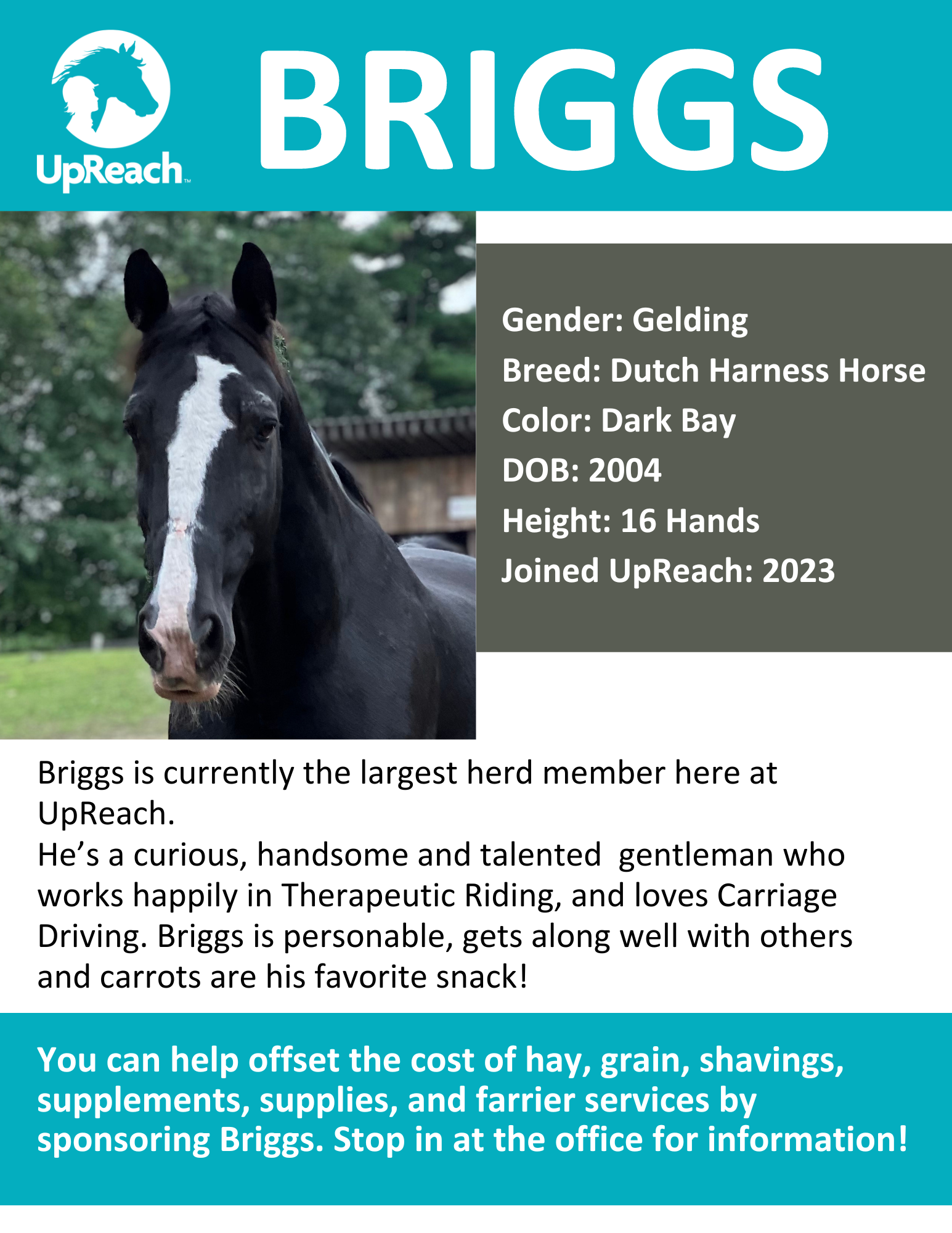 Briggs — UpReach Therapeutic Equestrian Center, Inc.