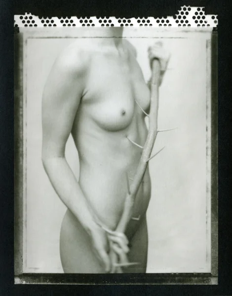 "Citrus Thorns 2" by Rachael Short