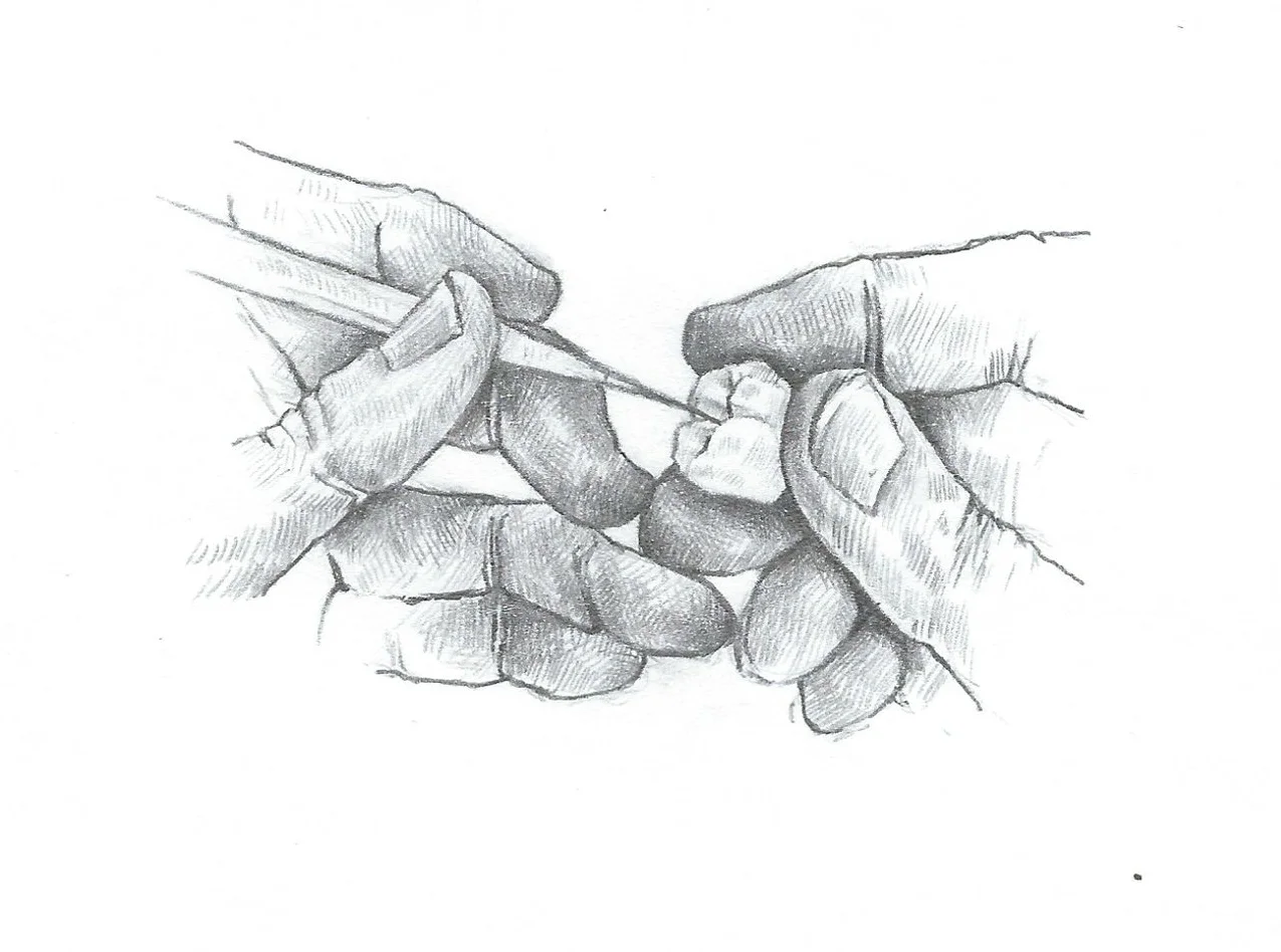 Drawings by Pat Rocha Sr .
