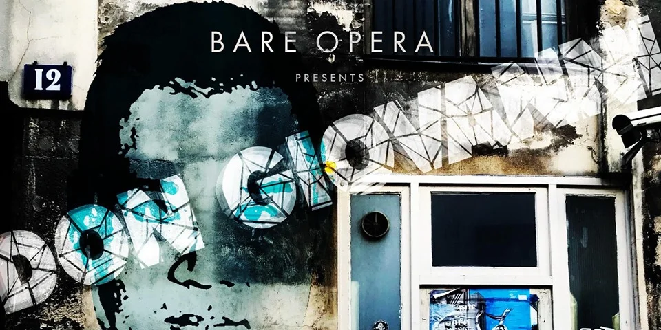 don giovanni bare opera graphic.jpg