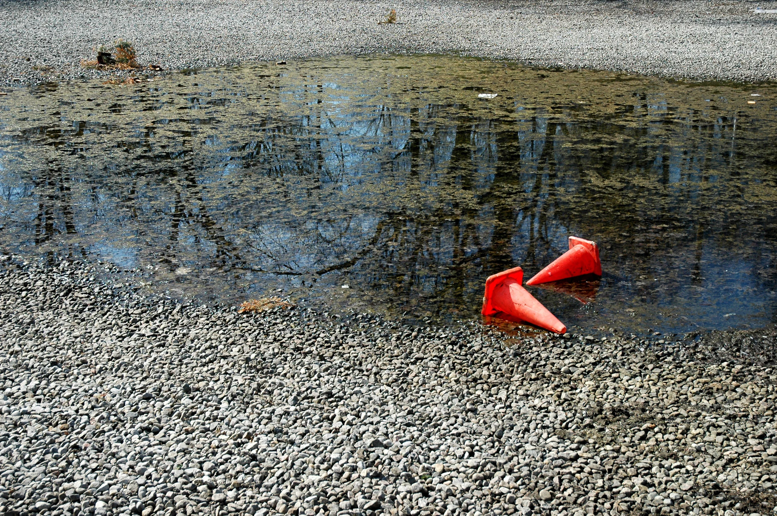 sleeping cones on water puddle / cônes en repos sur flaque d'eau / conos en reposo sobre charco