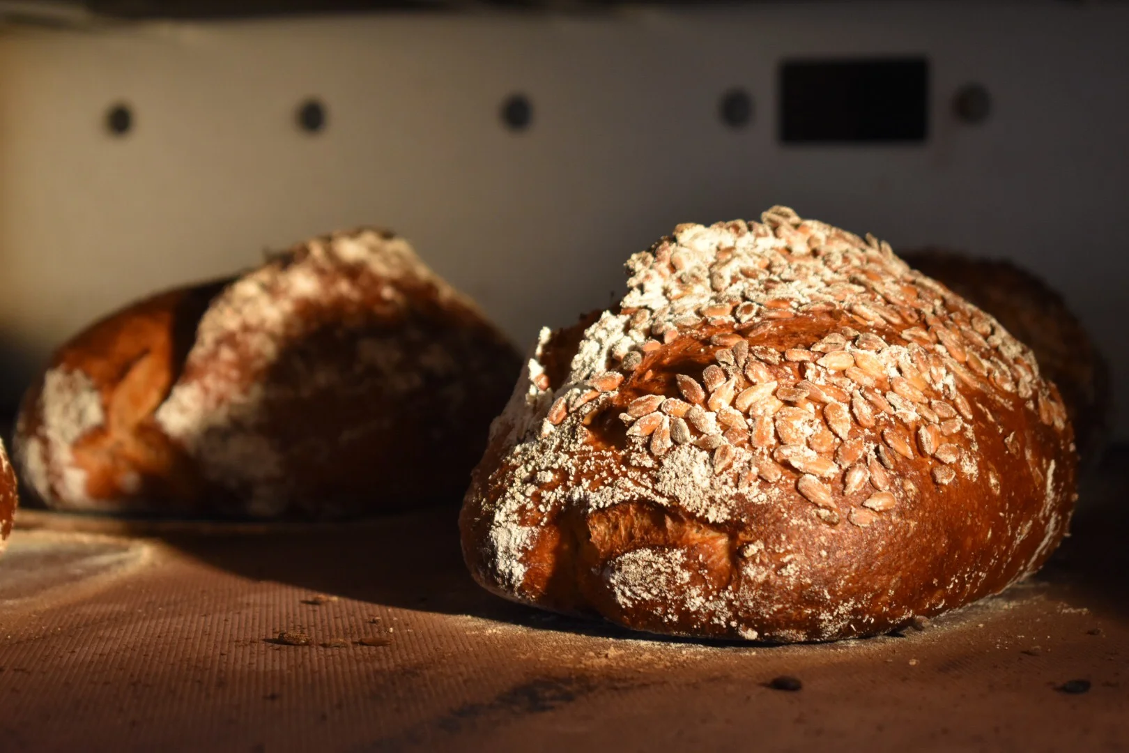 Photo for Brooklyn Bread Lab