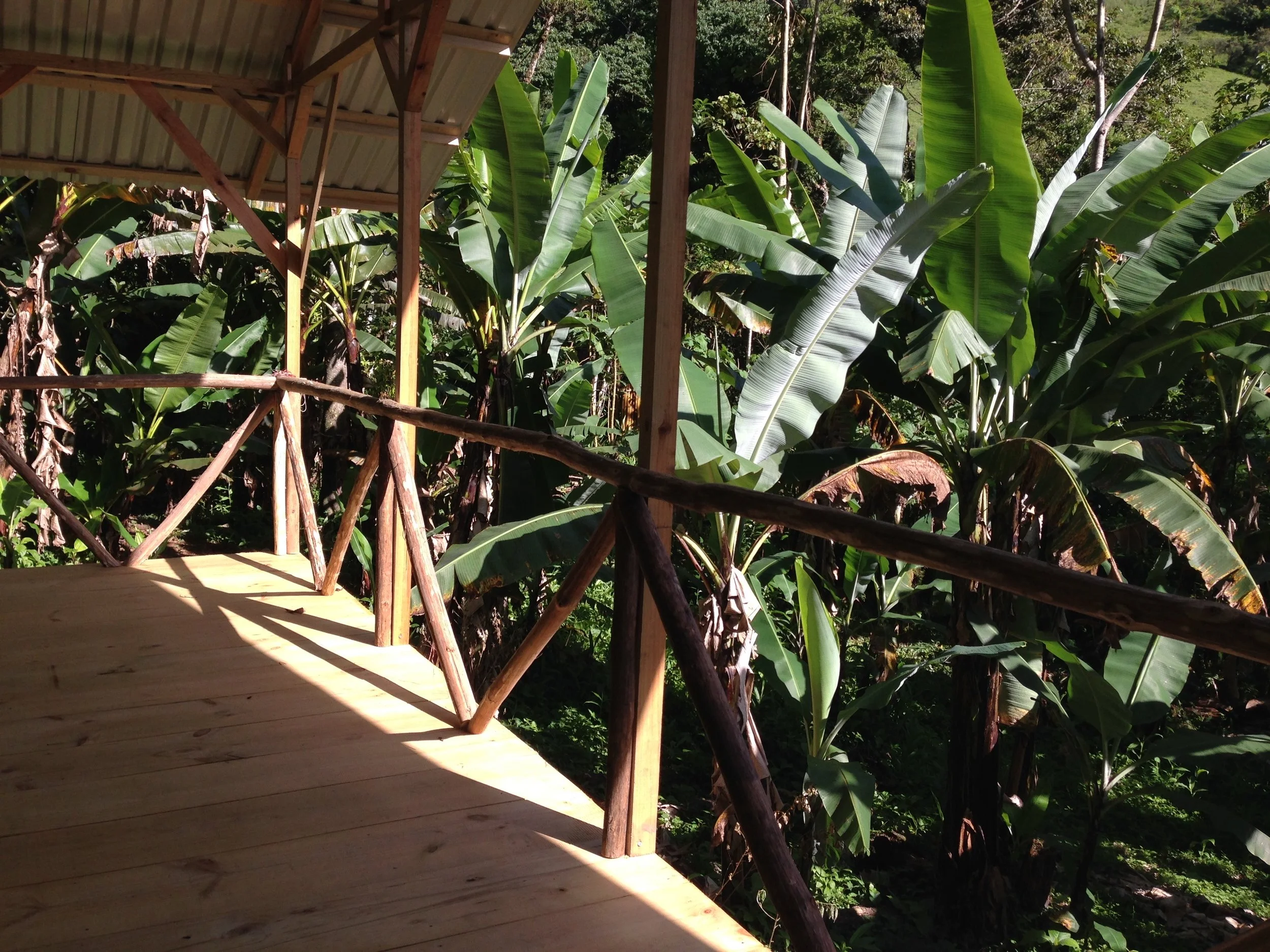 Platform #3 Se anida en el plátano Grove que le da una visión en la cima de los árboles. RATE puede ser de $ 35 a $ 1.200 dependiendo del plan que elija. 19,917 colones - 682,848 colones.