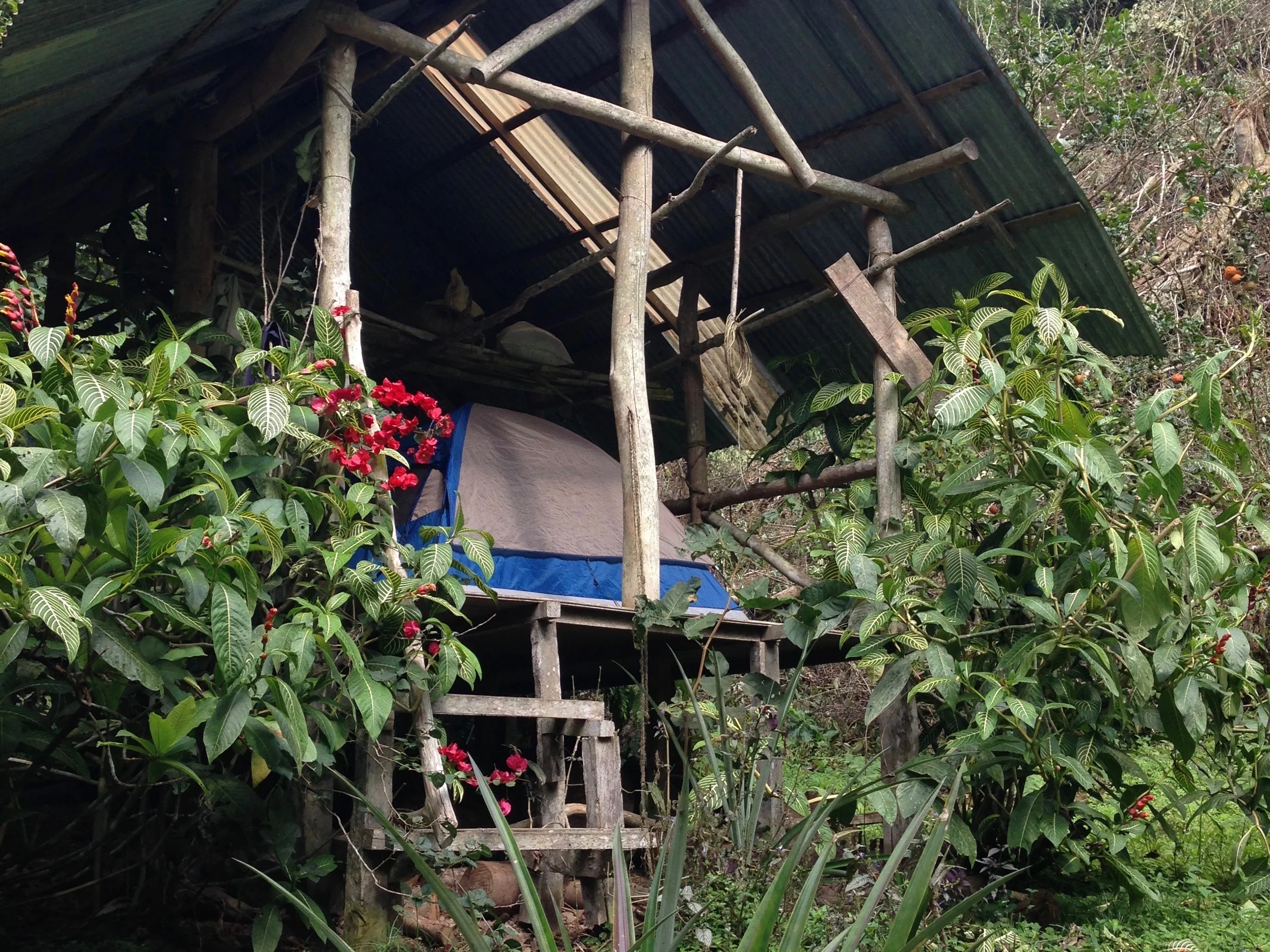 STAY DRY IN THE RAIN - Platform #1, RATES for 1 camper $35/night (¢19,500 colones) and $180/week, ( ¢101,200colones por semana)