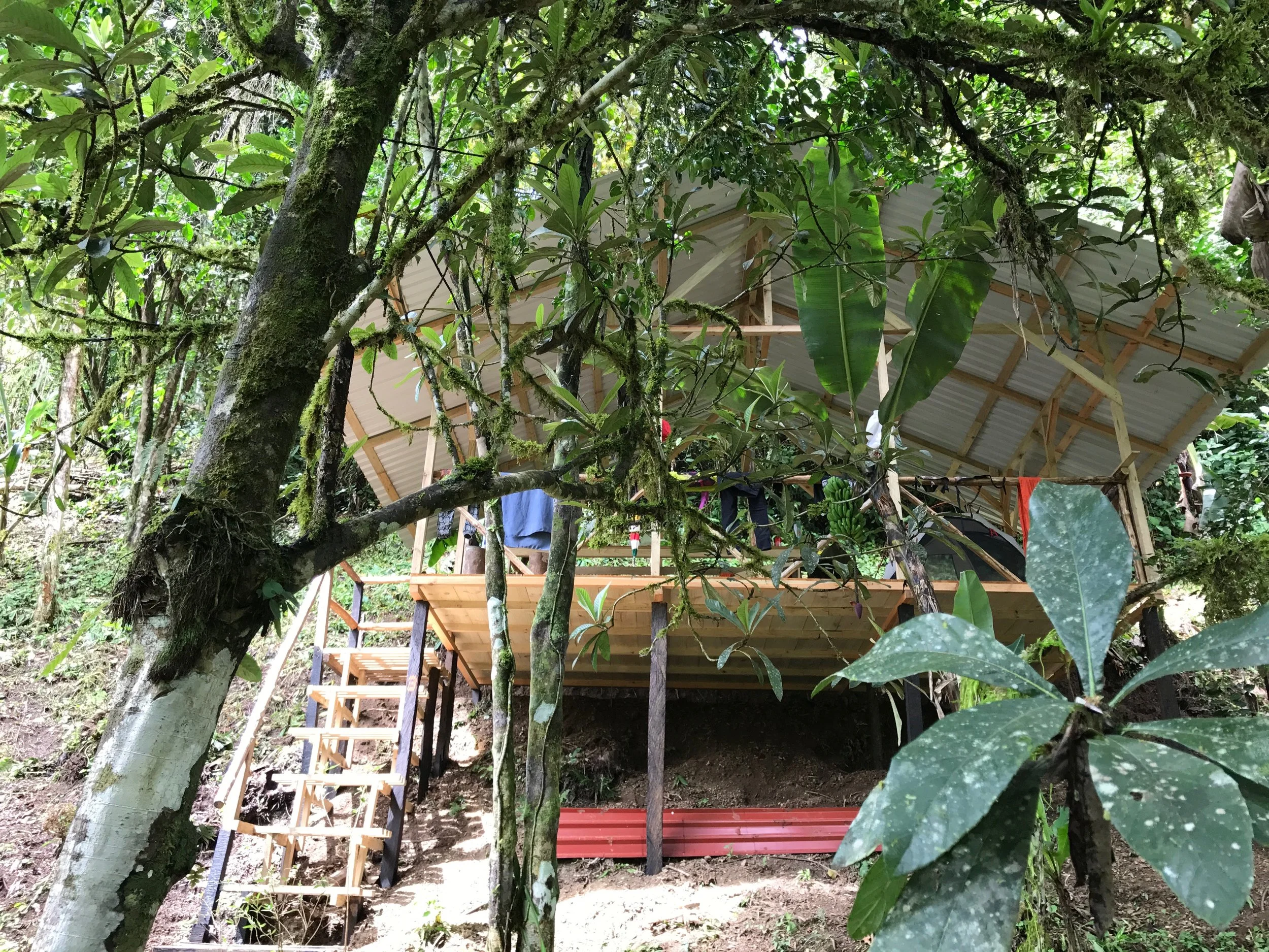STAY DRY IN THE RAIN - Platform Pavilion #3; Rate for 2 campers renting Tent & Gear, $610 (or ¢344,700 colones.) Bring your Camp Food. Transportation and Hikes are extra.