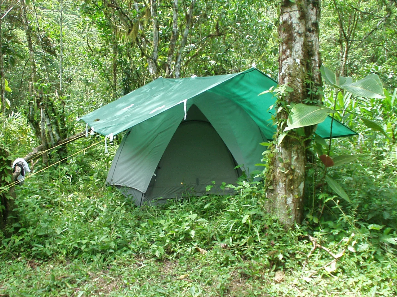 ACAMPANDO EN EL ZACATE