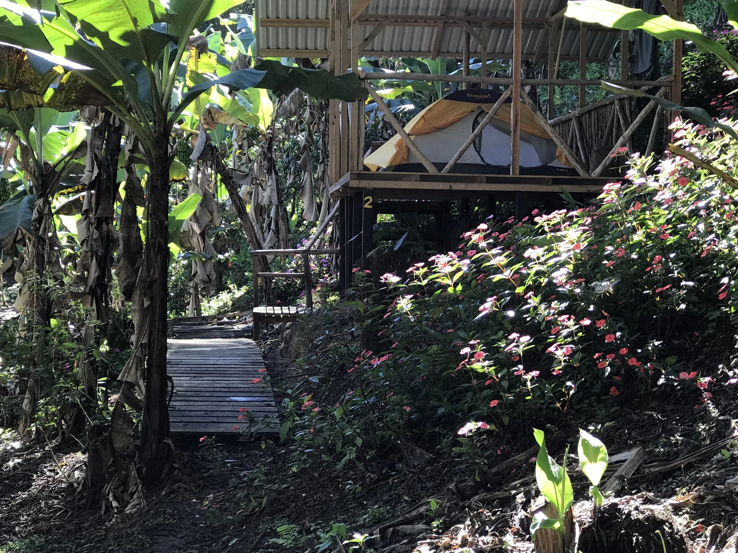ALL INCLUSIVE: 2 Campers on a Platform Pavilion; 6 nights, 7 days; We supply Tent, Gear, Meals, Transportation, Guided Hikes; $1,180/ week for 2 campers, (¢663,200 colones)