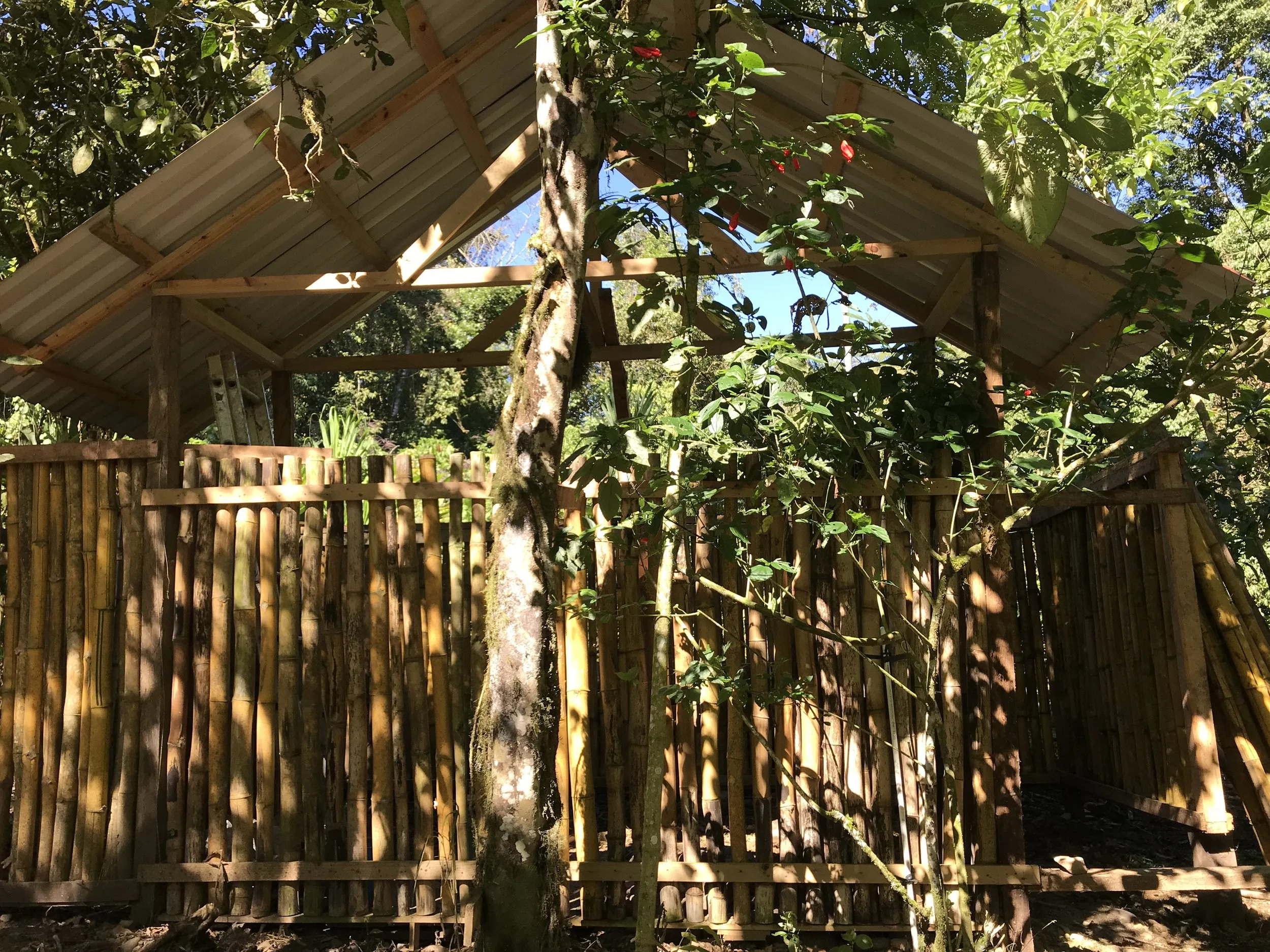 BAMBOO OUT HOUSE