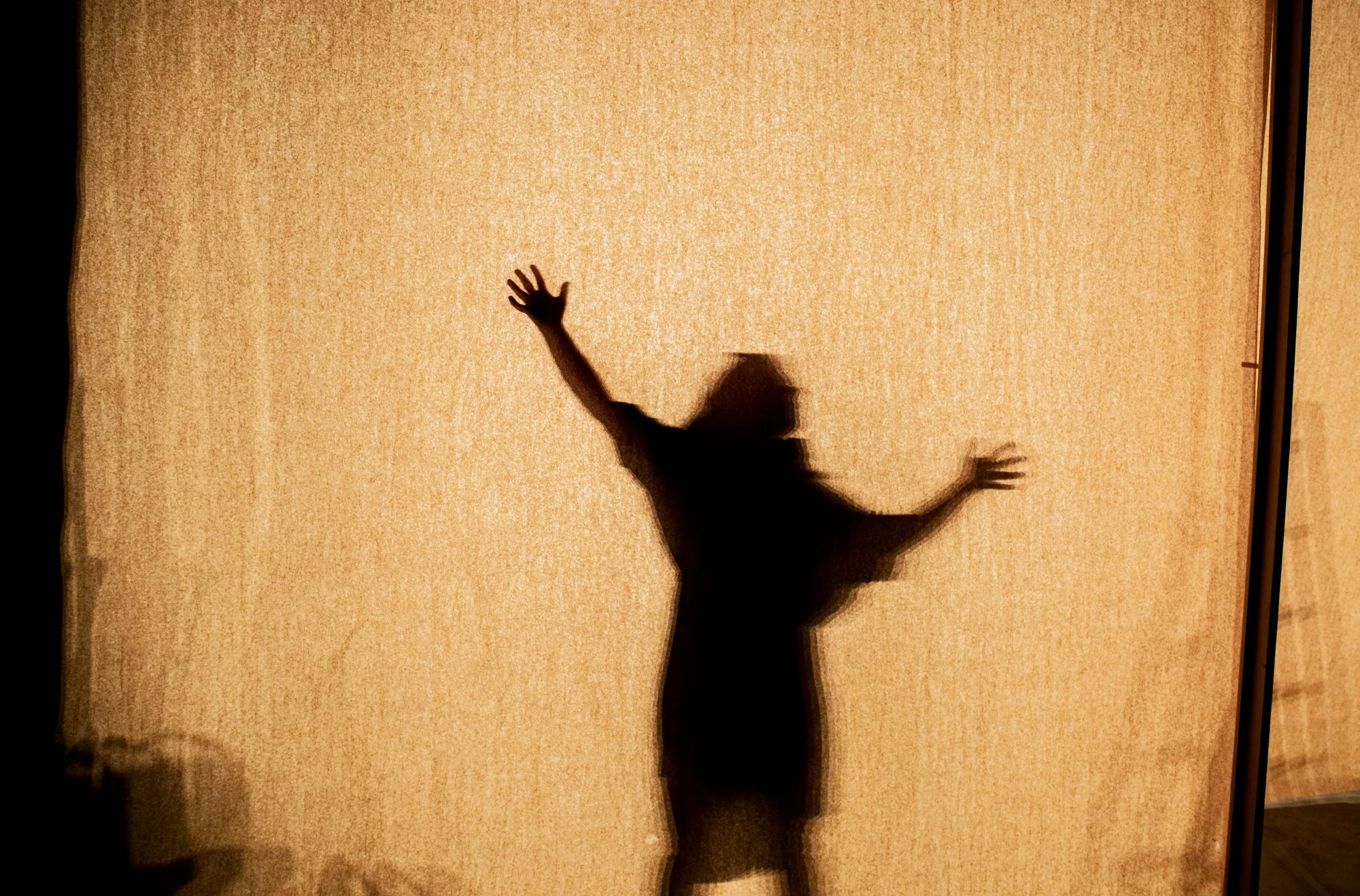 Frida Rohl06.jpg