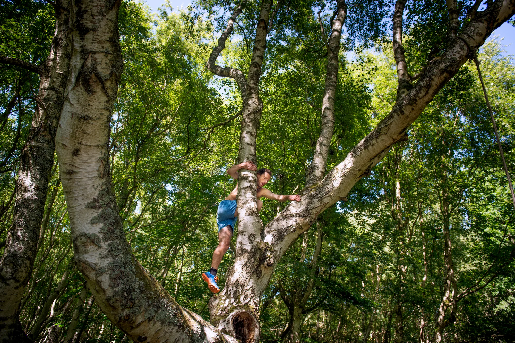 Markus Torgeby0002.JPG