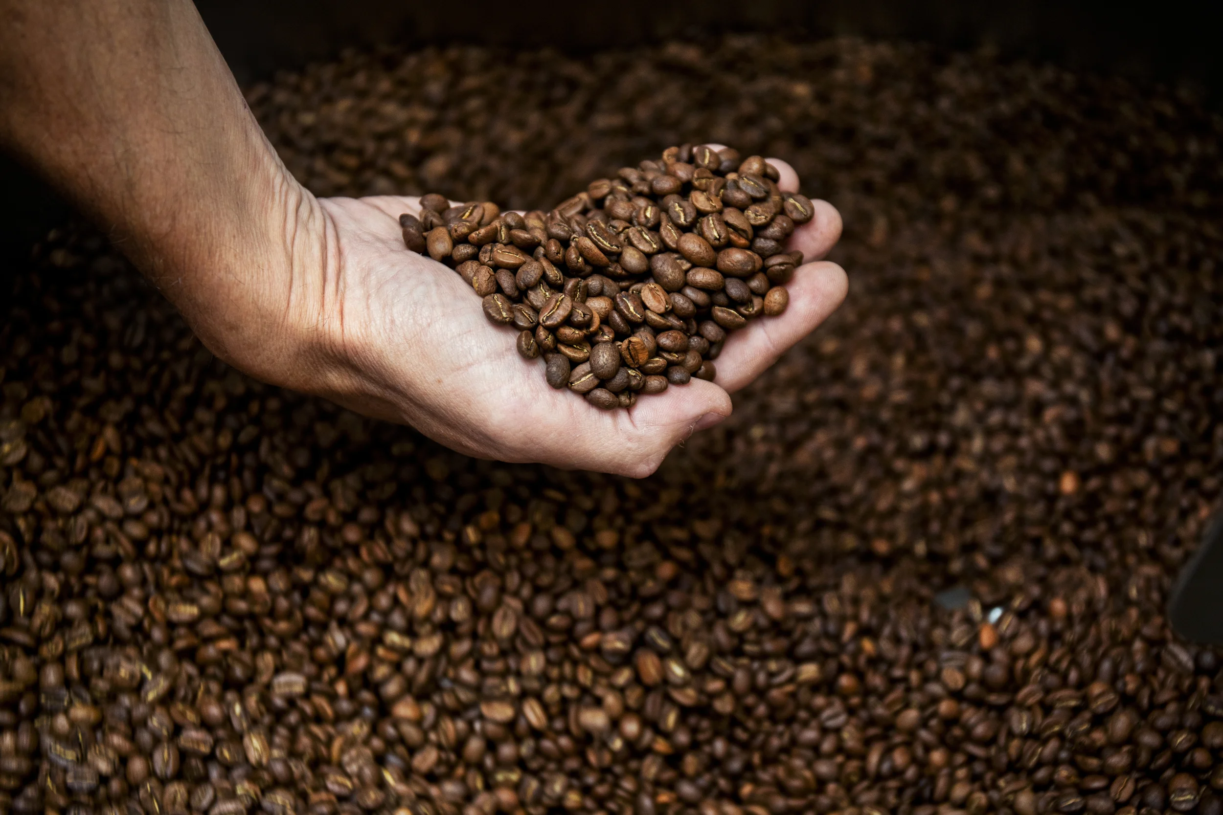 Naringsliv_Gringo kafferosteri04.JPG