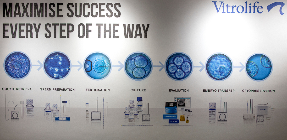 ekonomibilagan_Marie Forss04.JPG