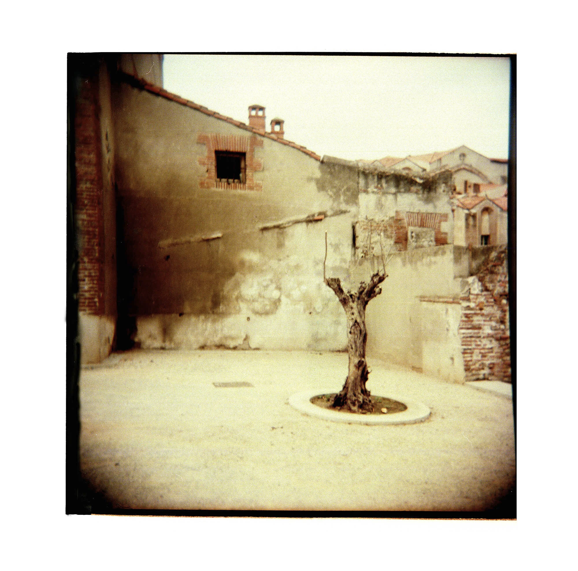 Elmrin-Thanner-Fotografer-Perpignan-005.JPG