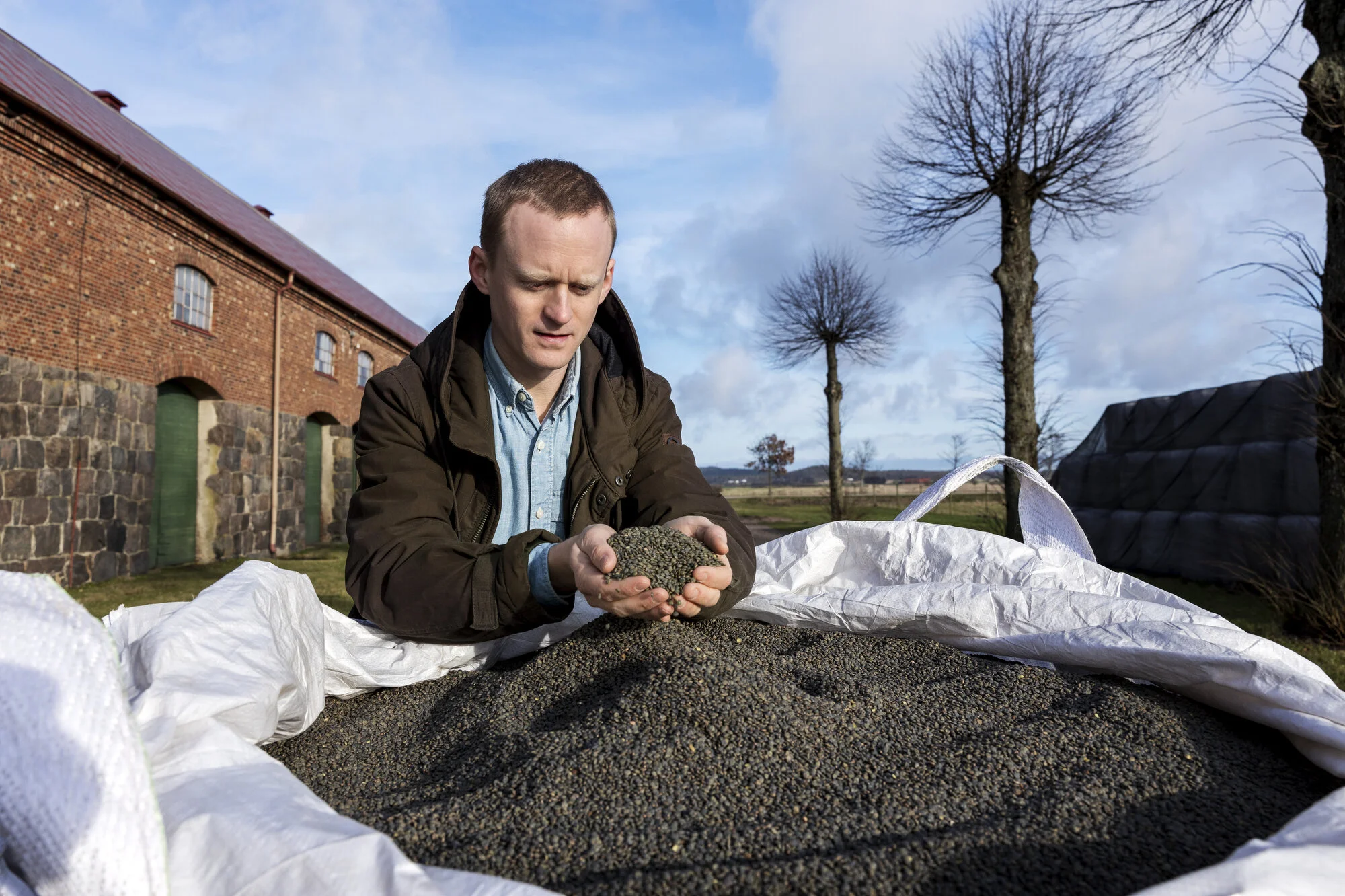 vetenskap_linsodling i sverige01.JPG