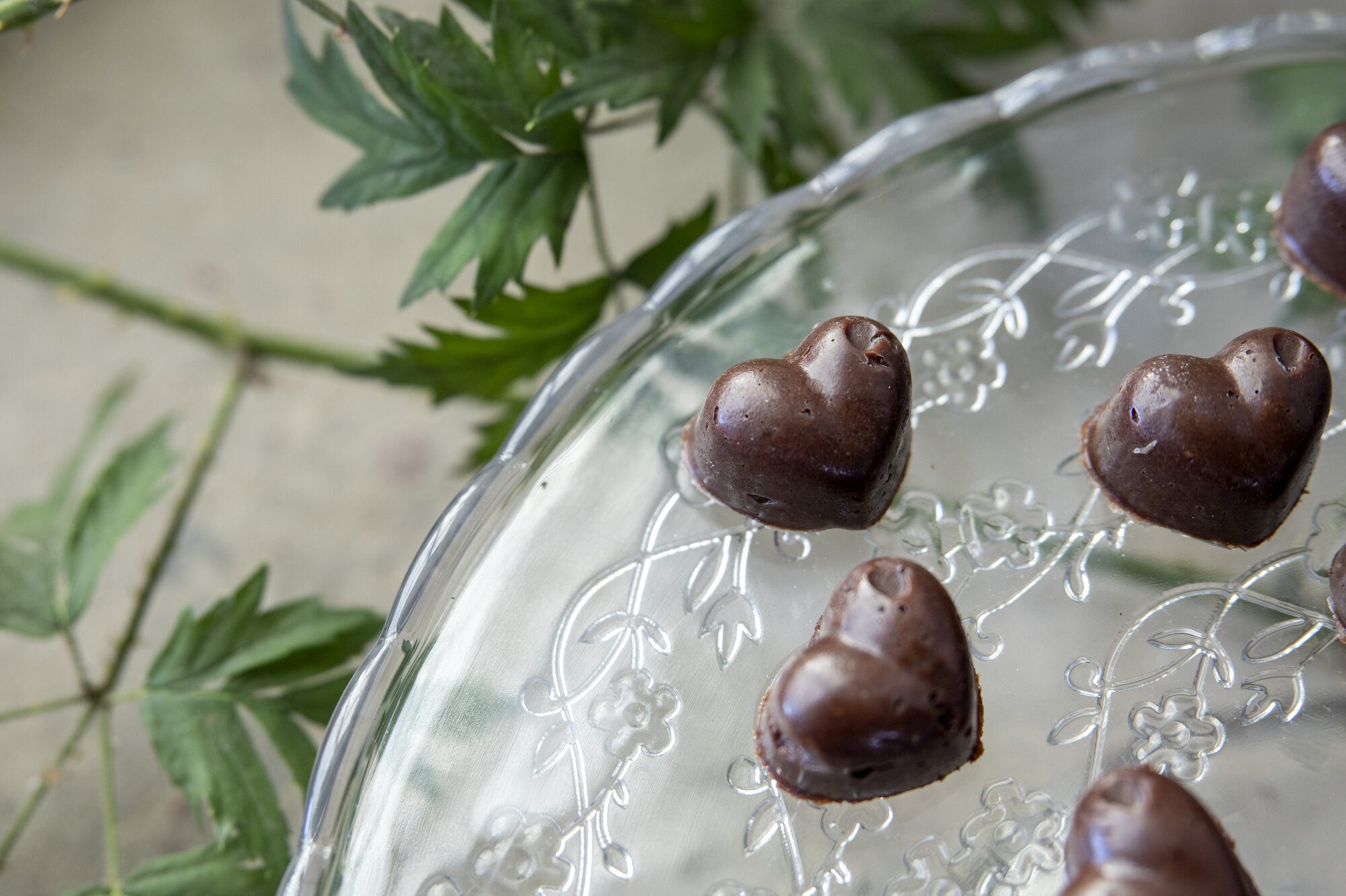 vetenskap_linsodling i sverige08.JPG