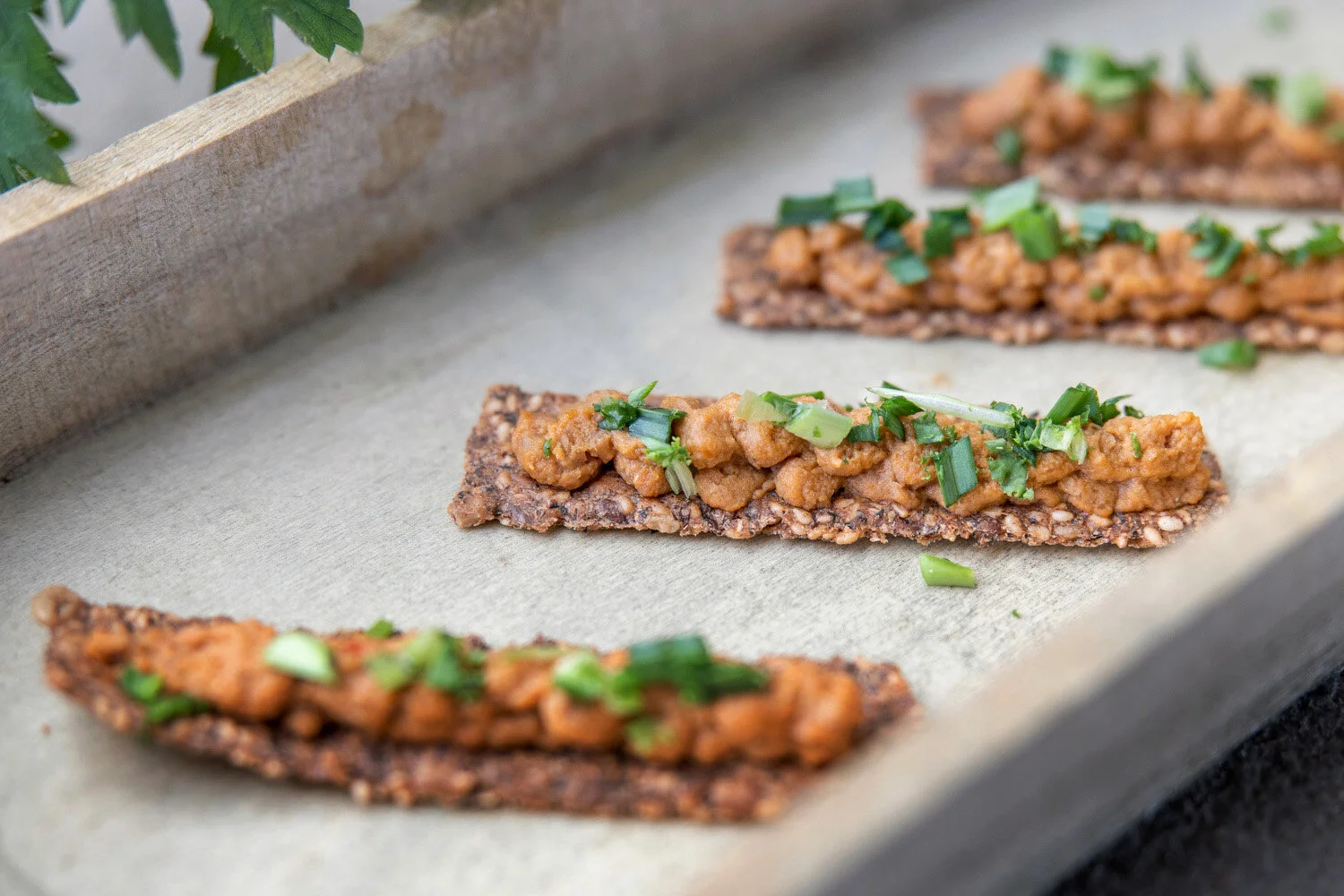 vetenskap_linsodling i sverige11.JPG