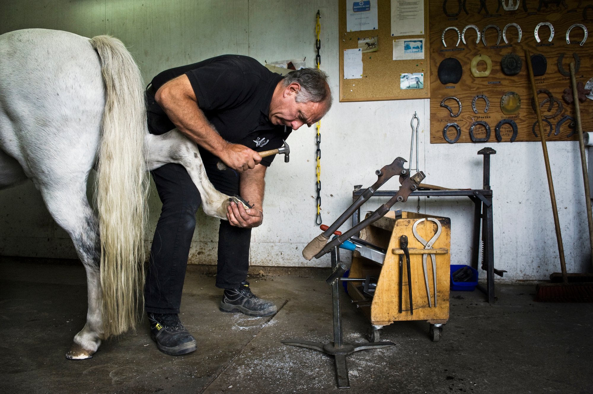 yrkesportratt _030.JPG