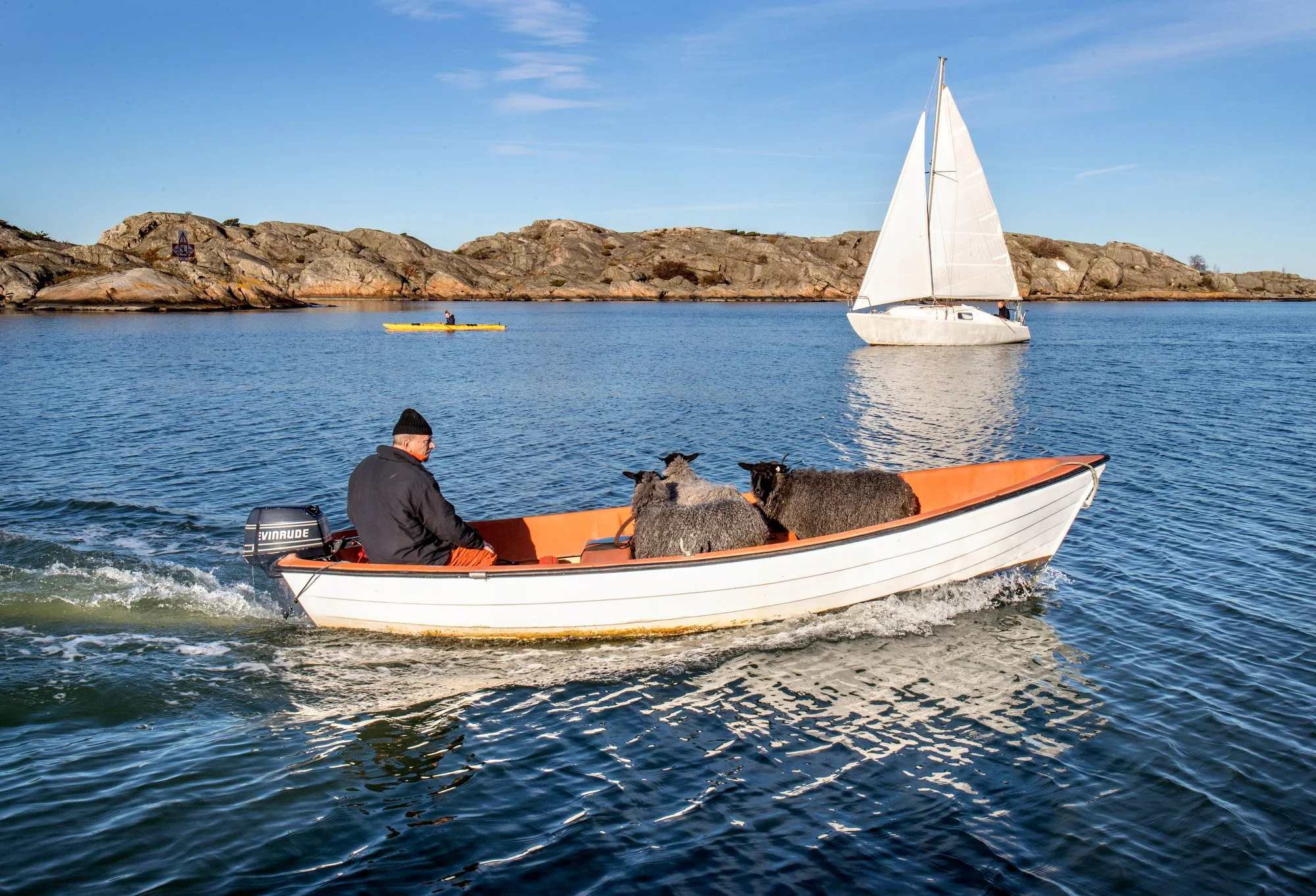 yrkesportratt _014.JPG