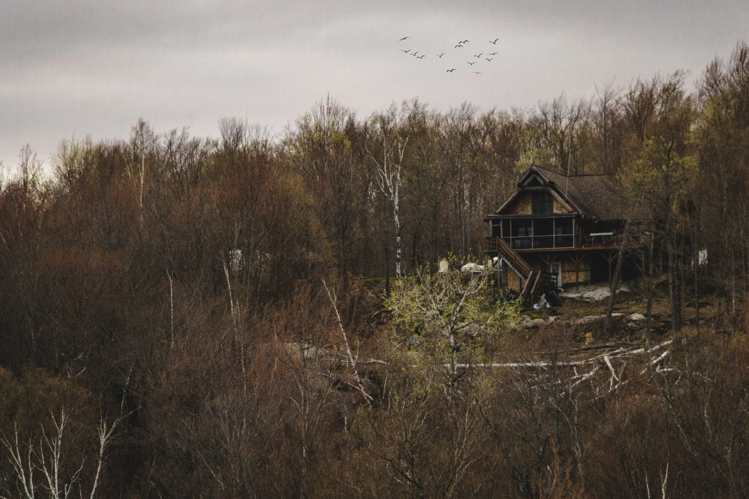 houseonhillbirds.jpg