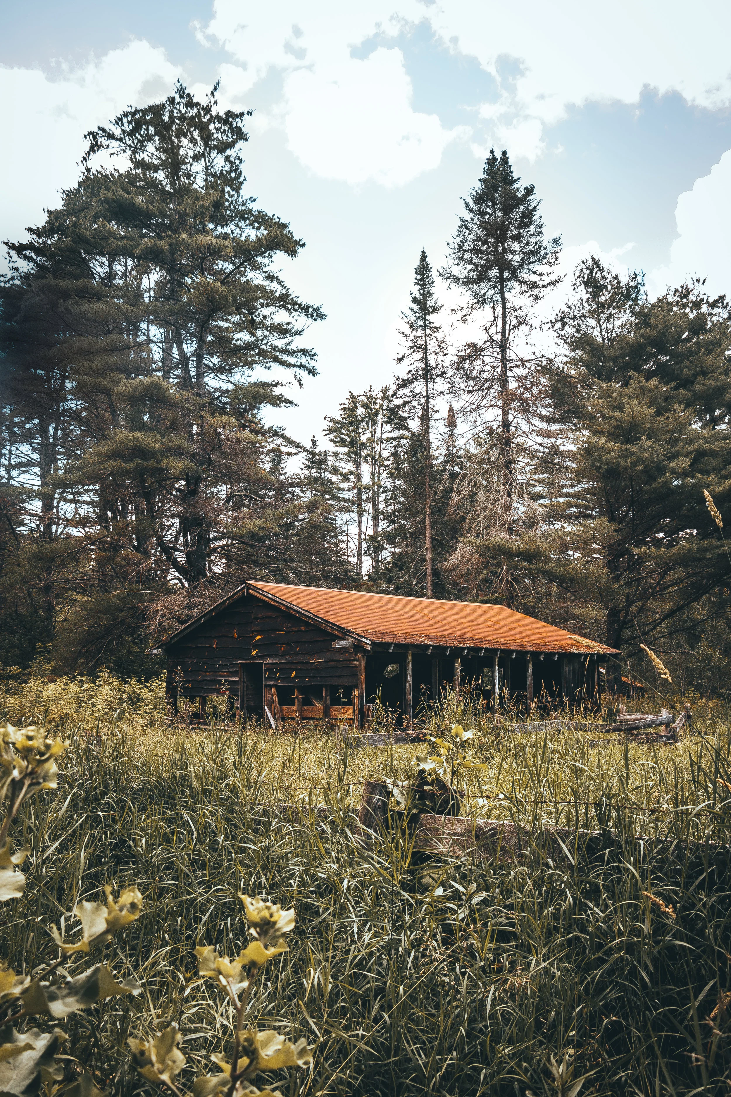 Frontiertown2variation.jpg