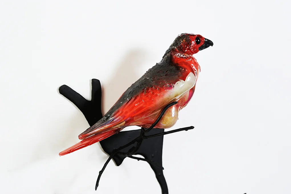 Red-Hawk-13.jpg