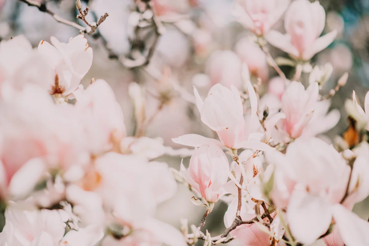 AwakenedDivinePhotography-521.jpg