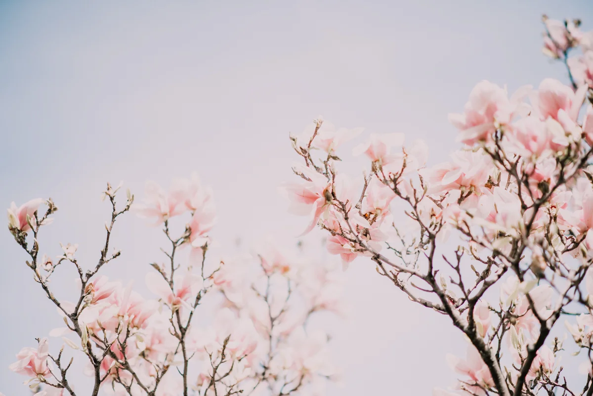 AwakenedDivinePhotography-523.jpg
