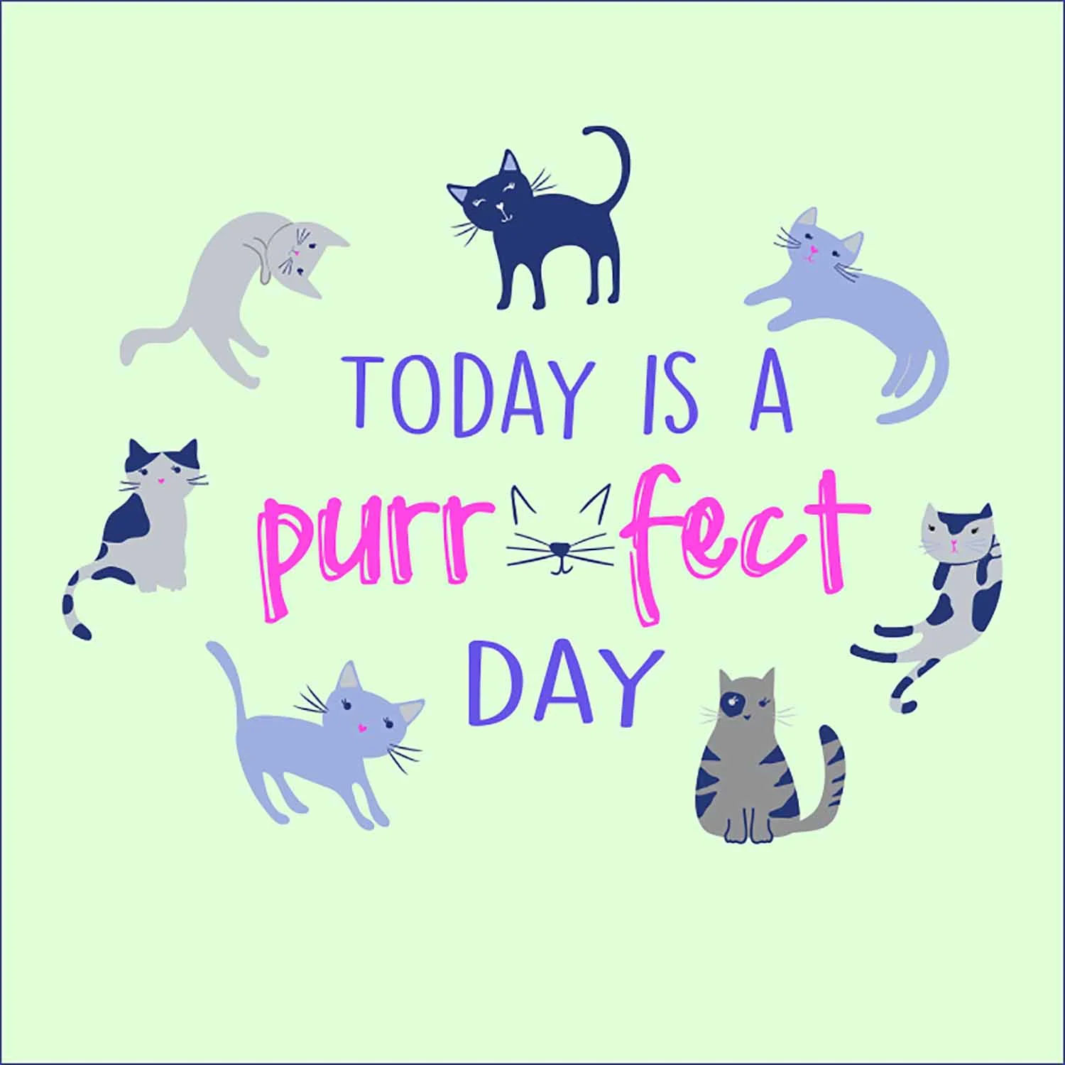purrfectday.jpg