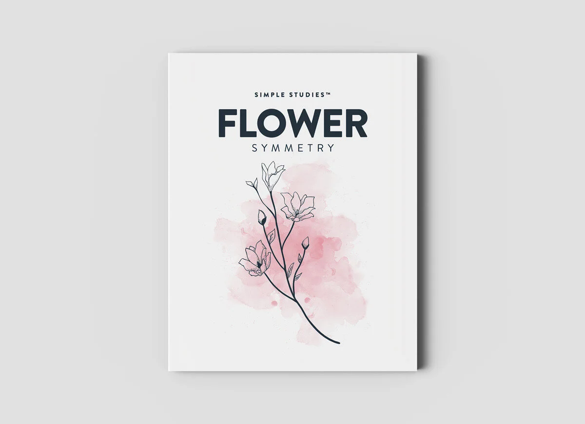 simple-studies_flower-symmetry.jpg