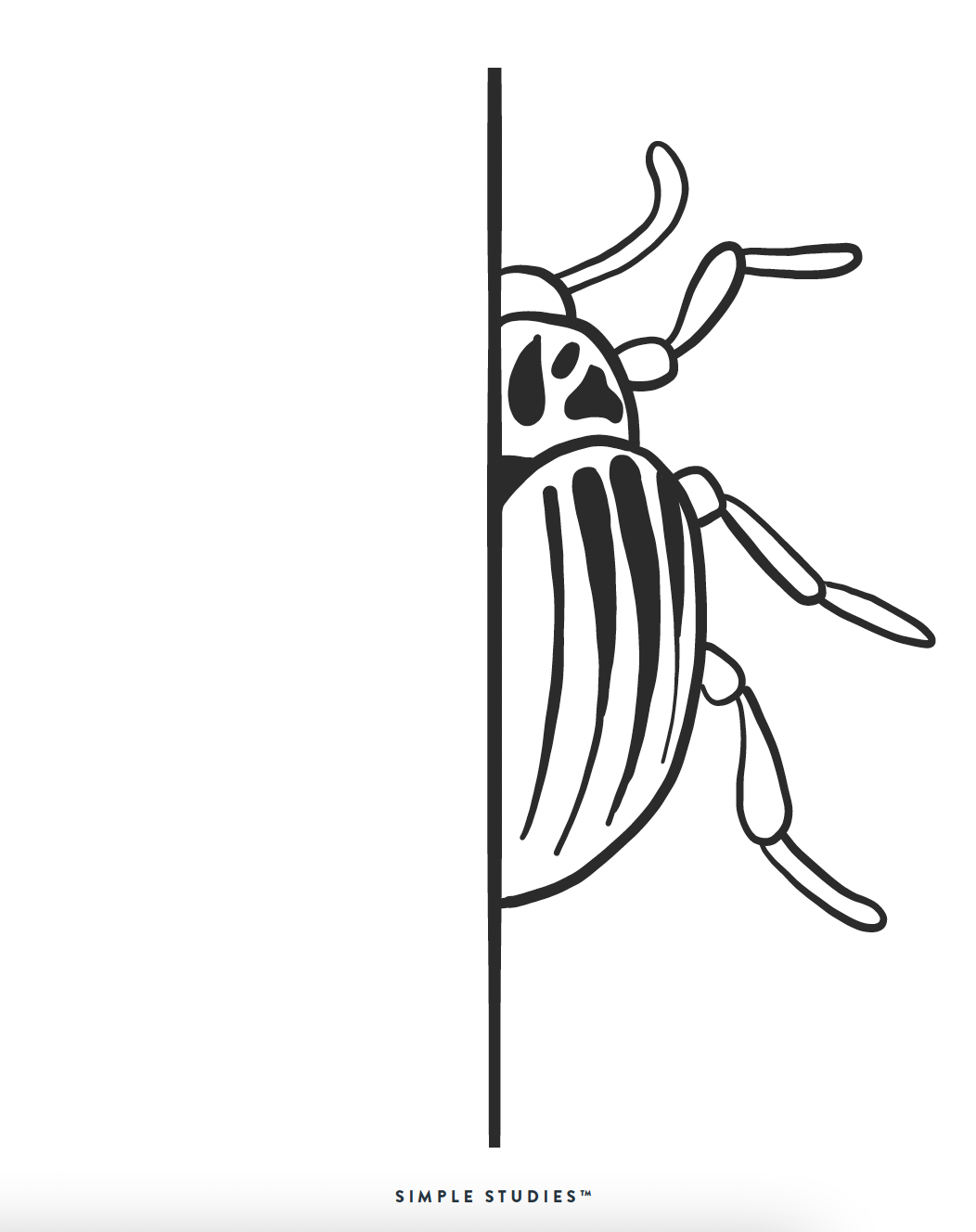 Screen Shot 2021-06-26 at 2.18.26 PM.png