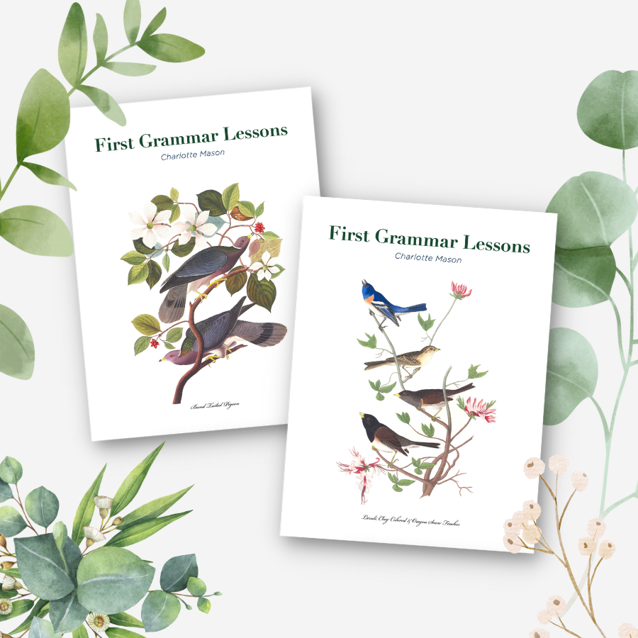 First Grammar Lessons Image.png