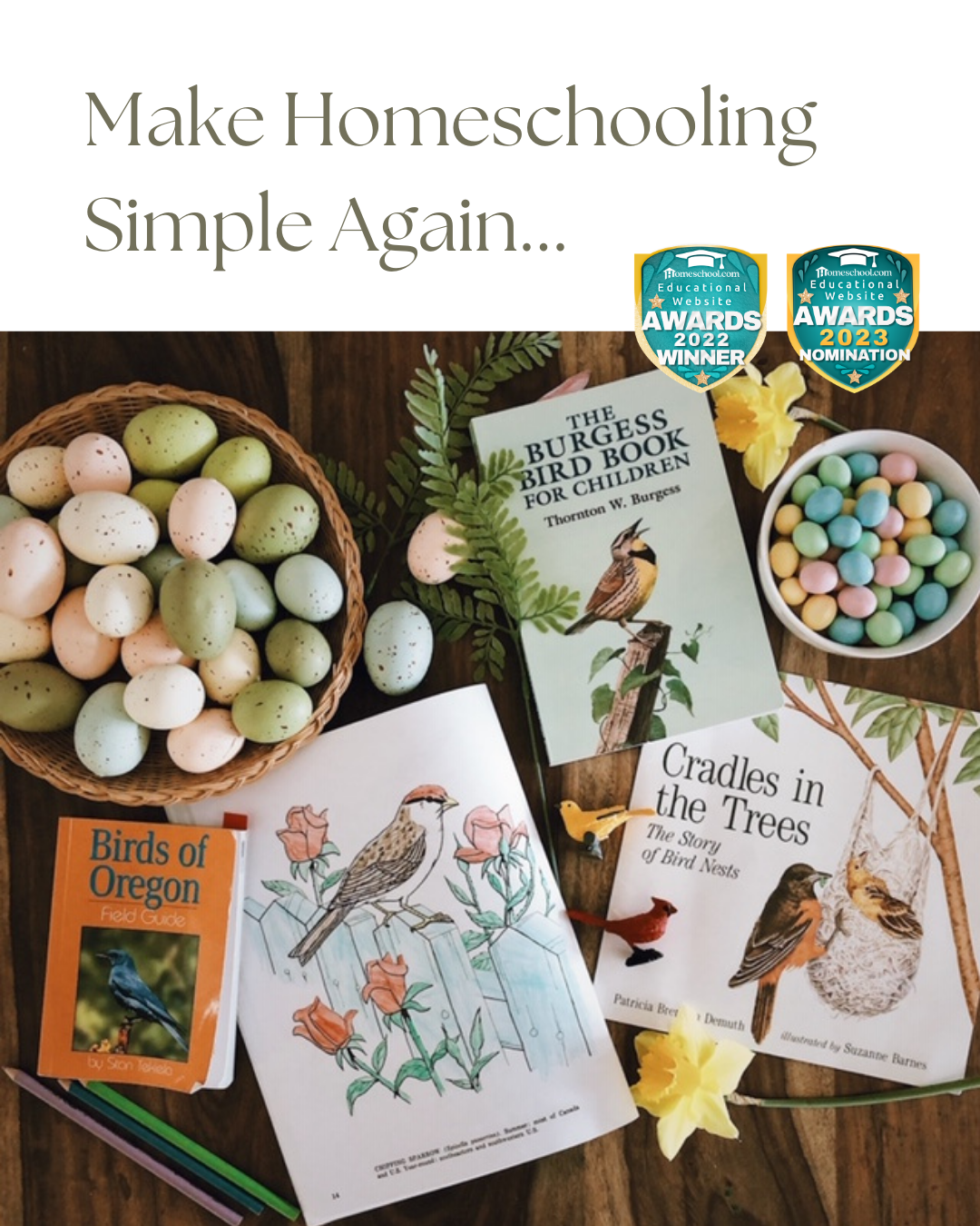 Simple Studies Now Available in More ESA Marketplaces!