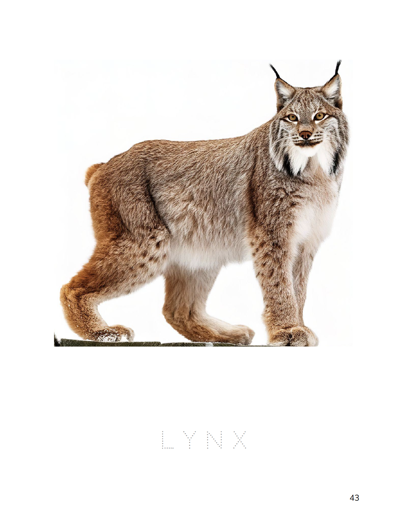 Screenshot 2024-11-06 at 2.16.10 PM.png