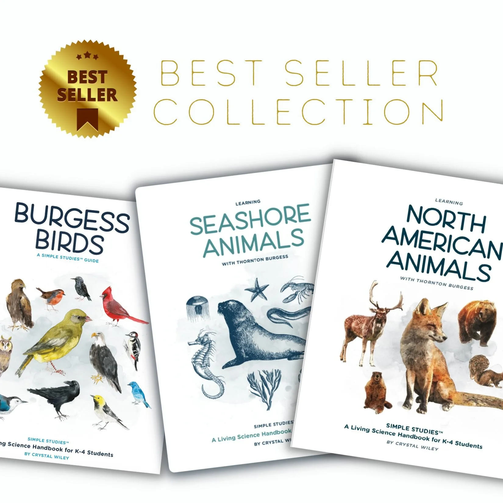 Best Seller Collection-min.jpg