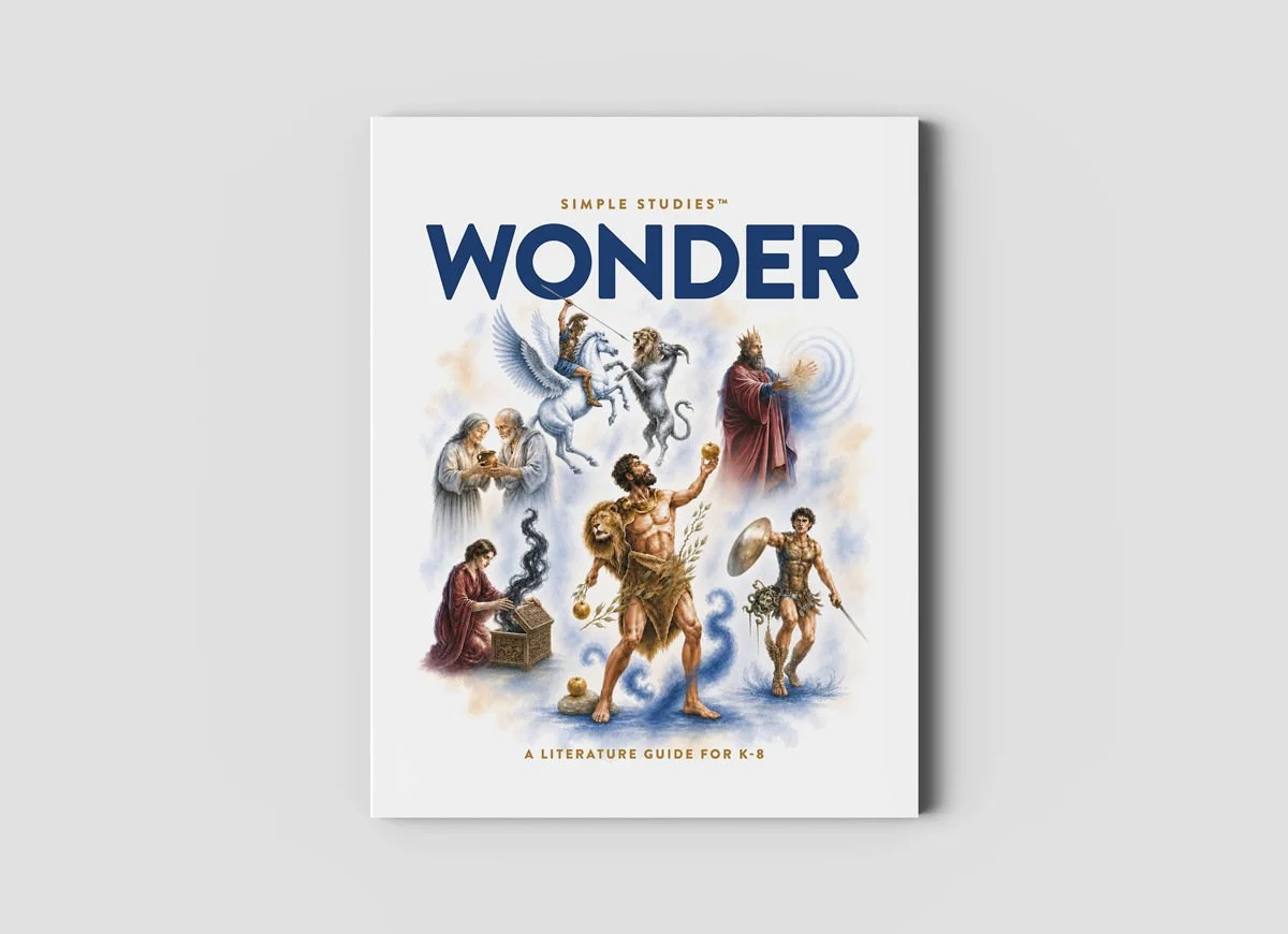 simple-studies_wonder.jpg