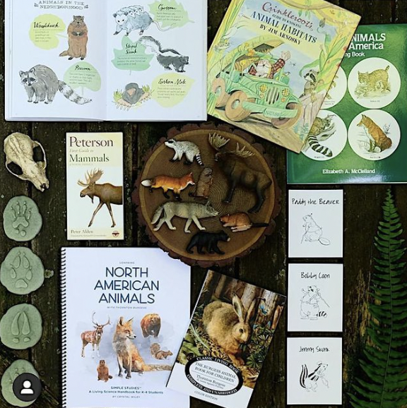 Screen Shot 2021-03-26 at 3.59.15 PM.png