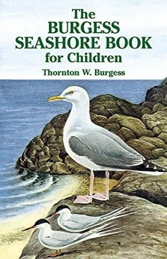 Seashore Book Image-min.jpg