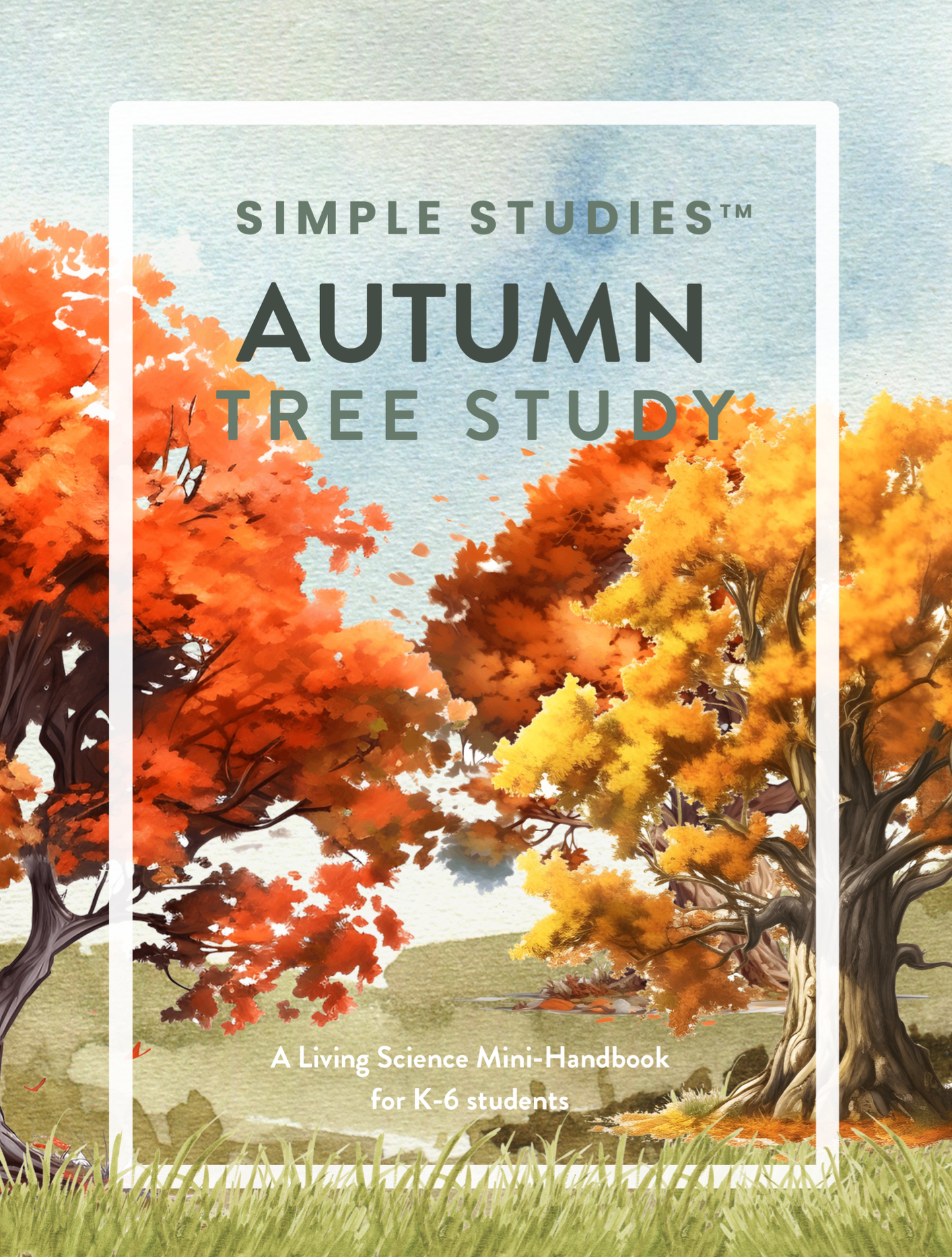 Screenshot 2024-09-29 at 5.43.56 PM.png