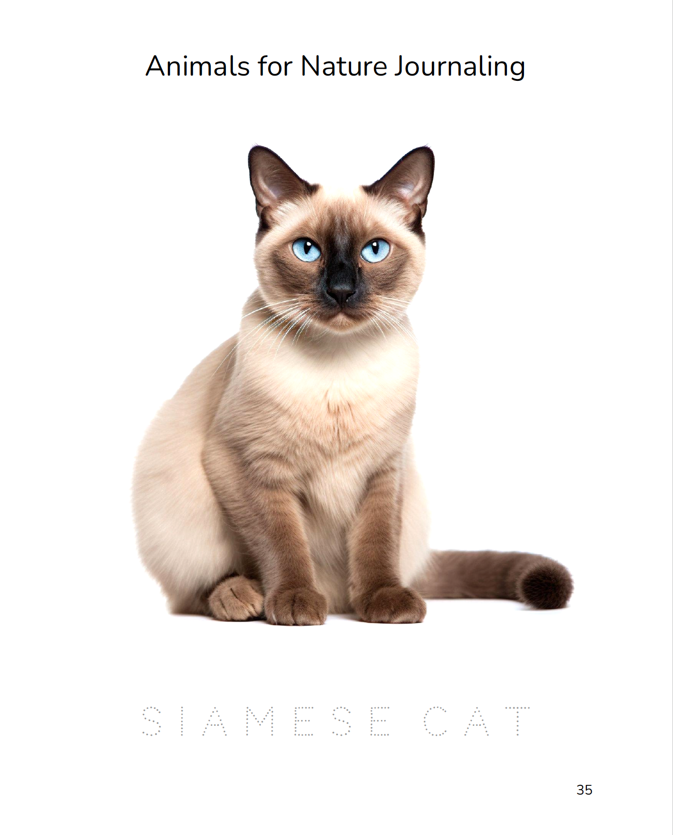 Screenshot 2024-11-06 at 2.15.58 PM.png