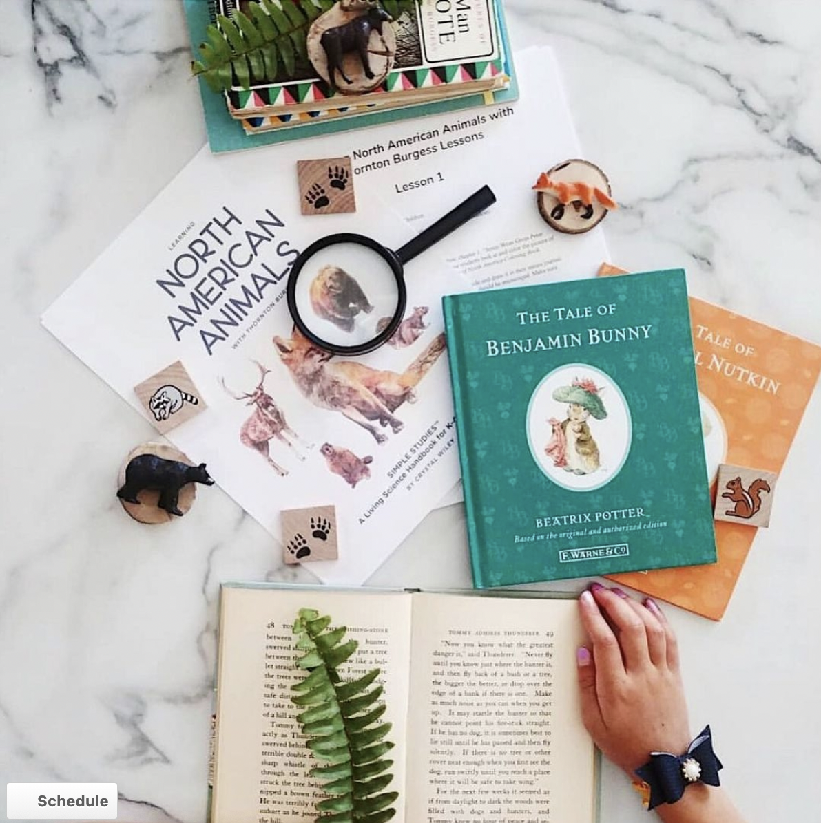 Screen Shot 2021-03-26 at 3.59.26 PM.png