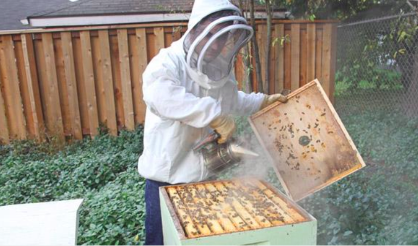 Screen Shot 2018-02-08 at 10.31.37 AM.png