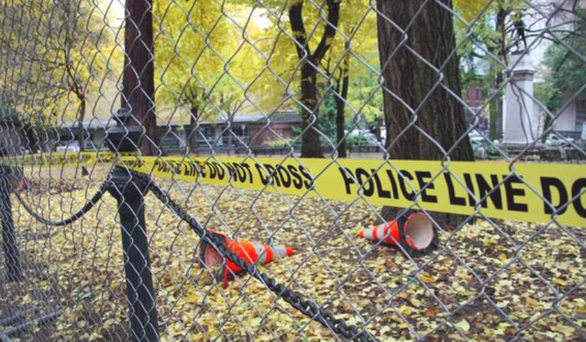 Screen Shot 2018-02-08 at 10.59.55 AM.png